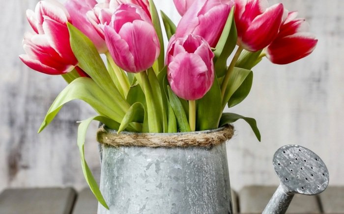 Décoration de jardin avec de la récupération! astuces bricolage Créatif Jardin Recup