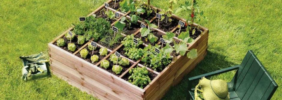 comment planter ses legumes