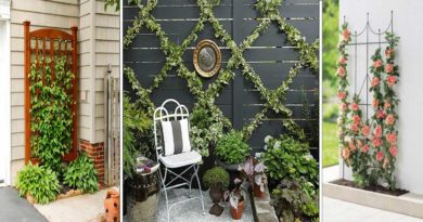 mise en place treillage decoratif