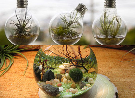 ampoule aquarium