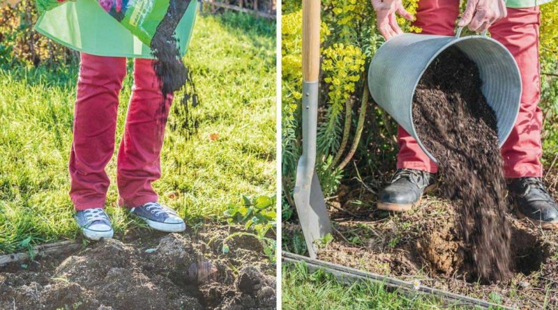 conseil jardin ecologique