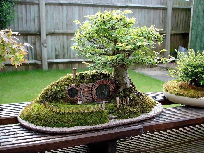 jardin miniature 
