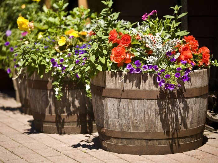 Tonneau transform en pot pour les plantes Bricolage maison Tonneau transform en pot pour les plantes Bricolage maison
