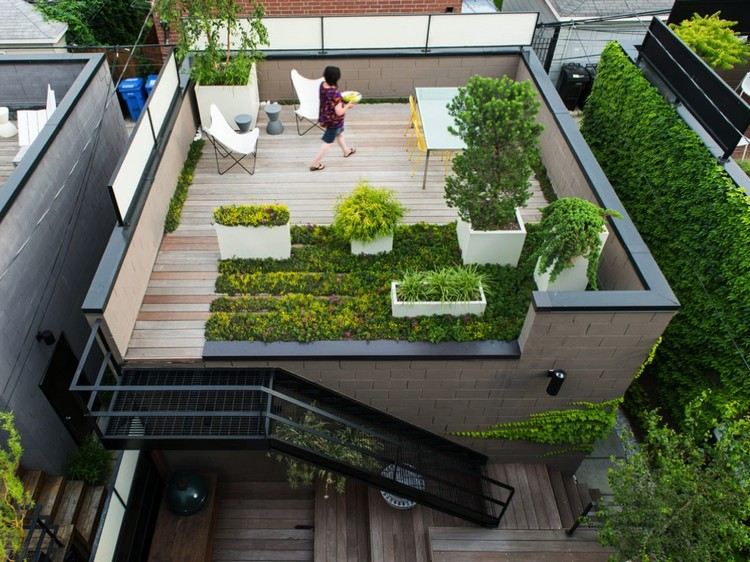 jardin sur le toit