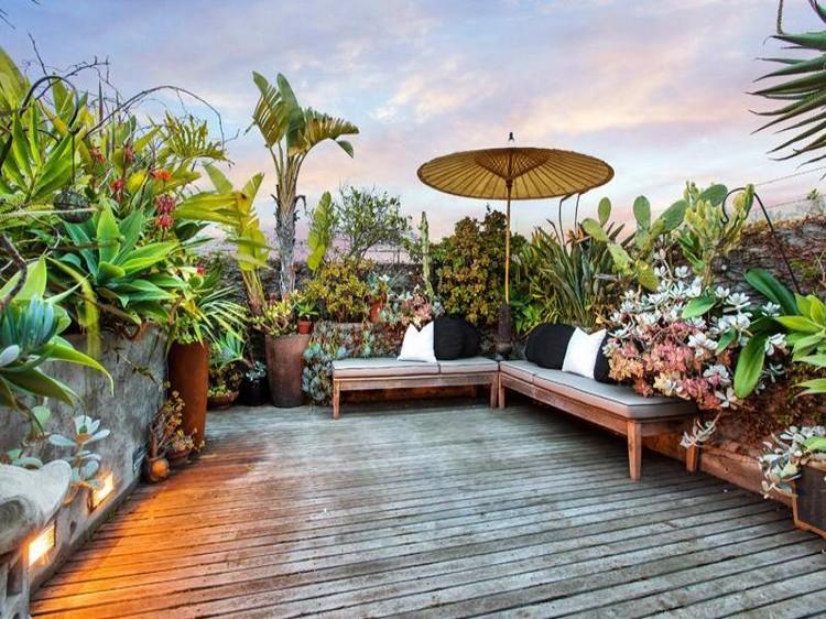 jardin-sur-le-toit-terrasse-plantes-exotiques-succulentes-palmiers-bancs-parasol