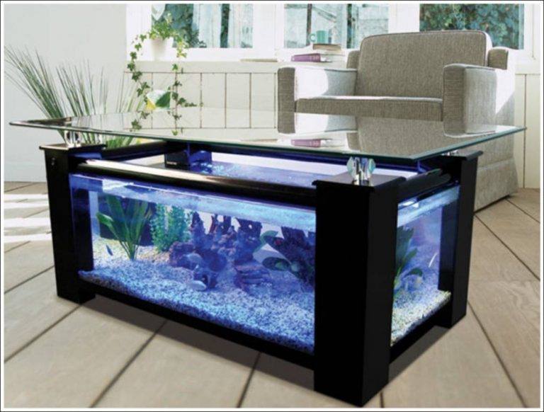 Collection poustouflante d aquariums  originaux  