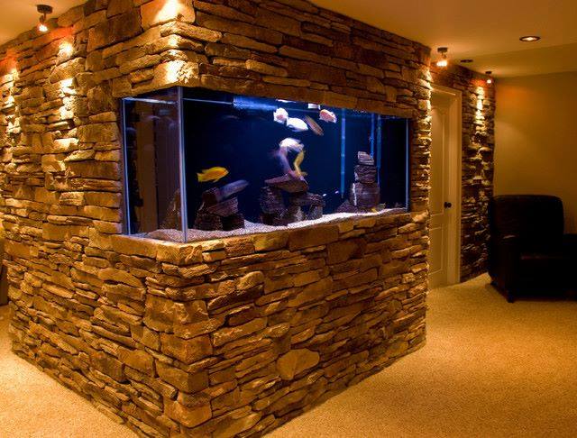 inch caravan hoog Collection époustouflante d'aquariums originaux! - Bricolage maison