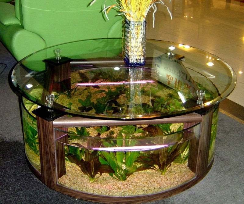 coffee table  aquarium  coffe table  design aquarium  table  