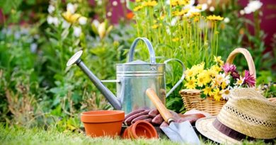 nettoyage jardin printemps