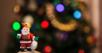 indispensable-deco-noel