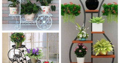 plantes intérieures fer forgé