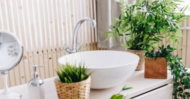 choisir plante salle bain