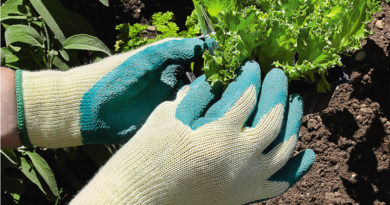 choix gants jardinage