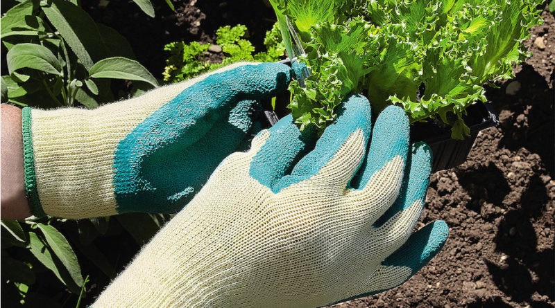 choix gants jardinage