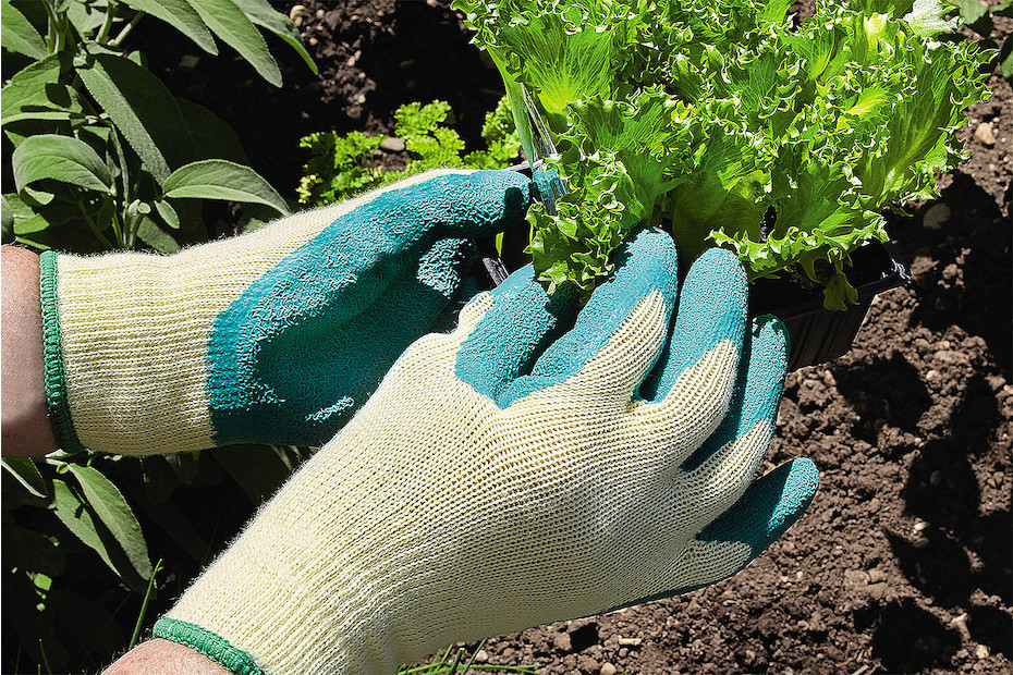 choix gants jardinage