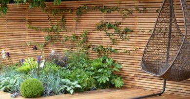 cloture jardin bois