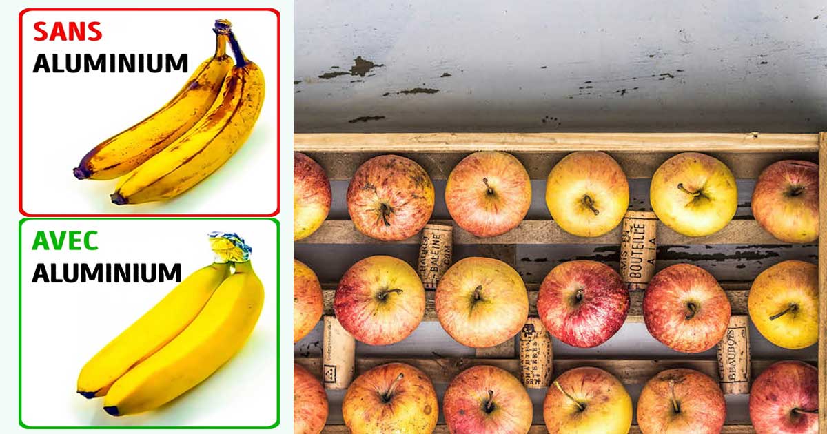 Astuces Pour Conserver Fruits Legumes Plus Longtemps