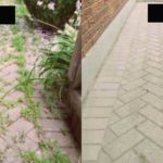 8 désherbants pour tuer vos mauvaises herbes, mais pas vos fleurs!