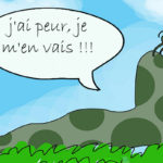 Solutions naturelles pour combattre les limaces dans le jardin