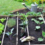 Potager en carrés : avantages et astuces
