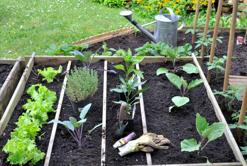 potager carre