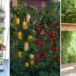7 idées pour réaliser un potager vertical