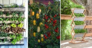 idee potager vertical