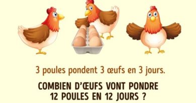 devinette poule oeufs
