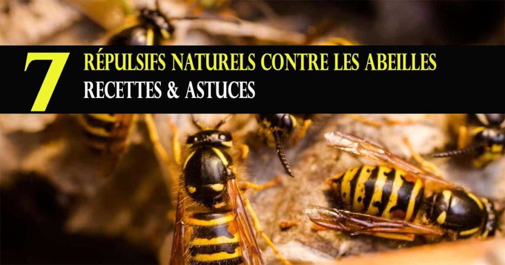 repulsif abeilles naturel