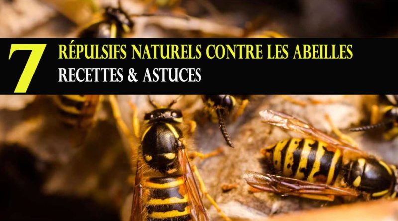 repulsif naturel abeille