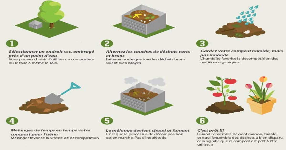 Faire son compost soi-même : les différentes méthodes