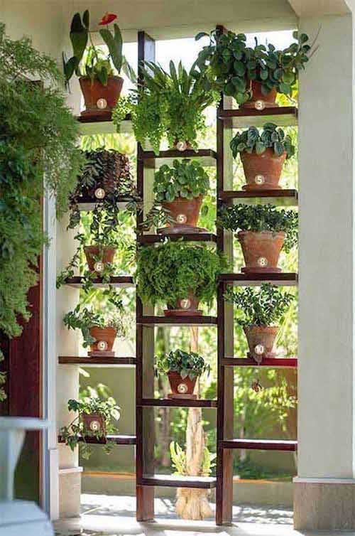 jardin vertical