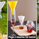 Des pièges à mouche à fabriquer soi-même
