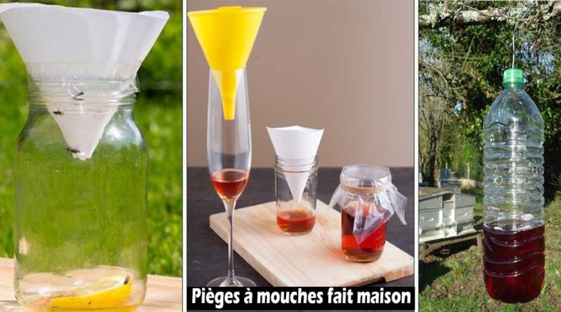 Comment Faire un Piège à Mouches Efficace Avec une Bouteille en Plastique., Recette