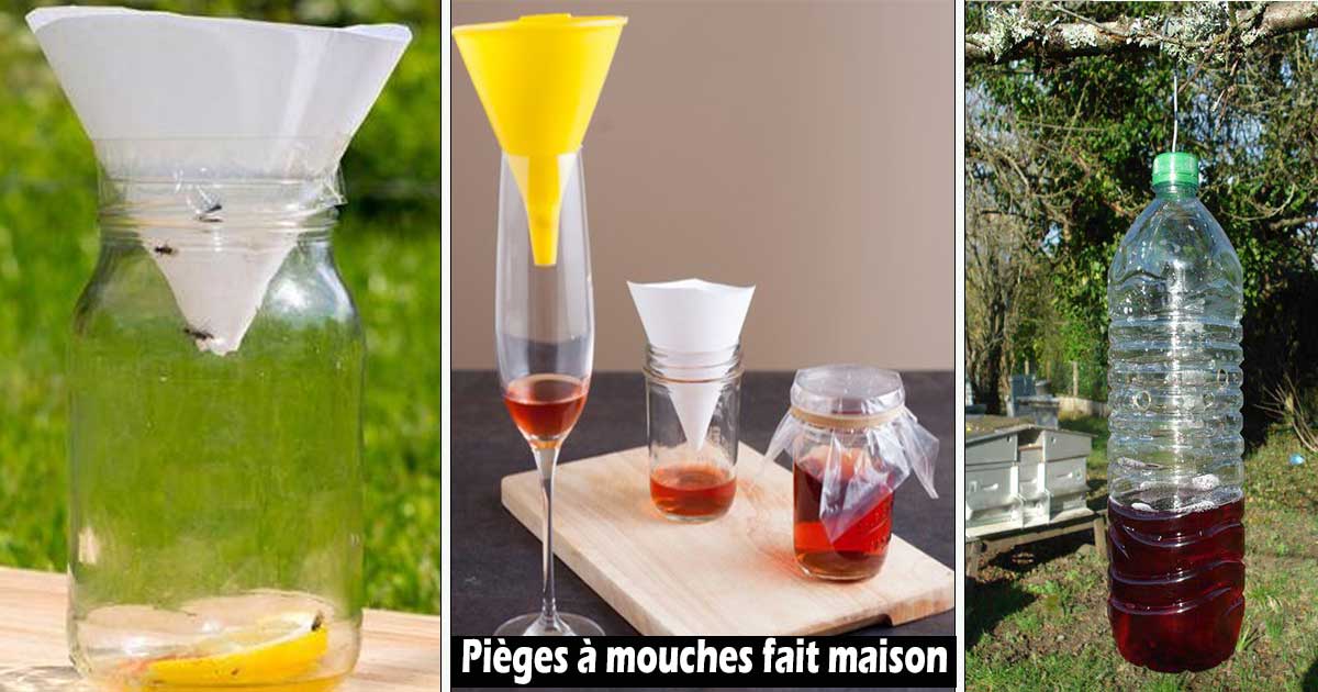 4 Pièges Faits Maison Pour Se Débarrasser des Mouches.