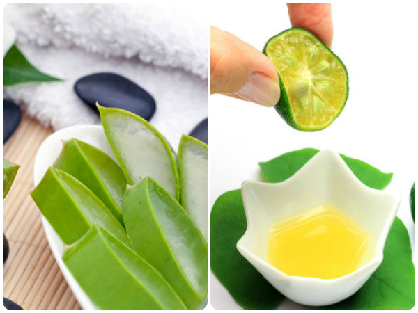 recettes aloe vera