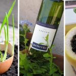 8 Conseils simples et faciles pour les amateurs du jardinage