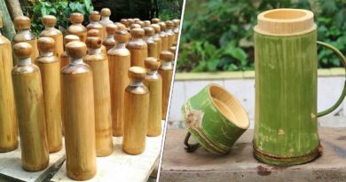 creation bouteille bambou