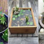 Les conseils pour réaliser un bassin de plantes aquatiques