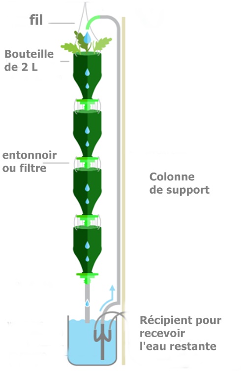 laitue bouteille plastique