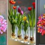 Comment avoir des belles tulipes ?