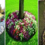 Cultiver des fleurs en bordure : choix & méthode