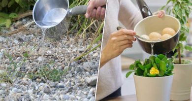 eau cuisson utilsations