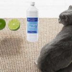 Comment supprimer l’odeur de pipi ou de l’urine de chat ?