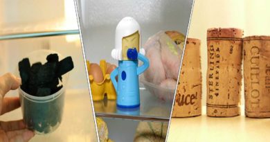 éliminier mauvaises odeurs frigo