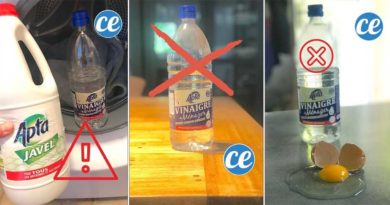 utilisations deconseillees vinaigre blanc