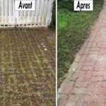 Éliminer la mousse naturellement sur une terrasse