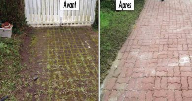 eliminer mousse jardin