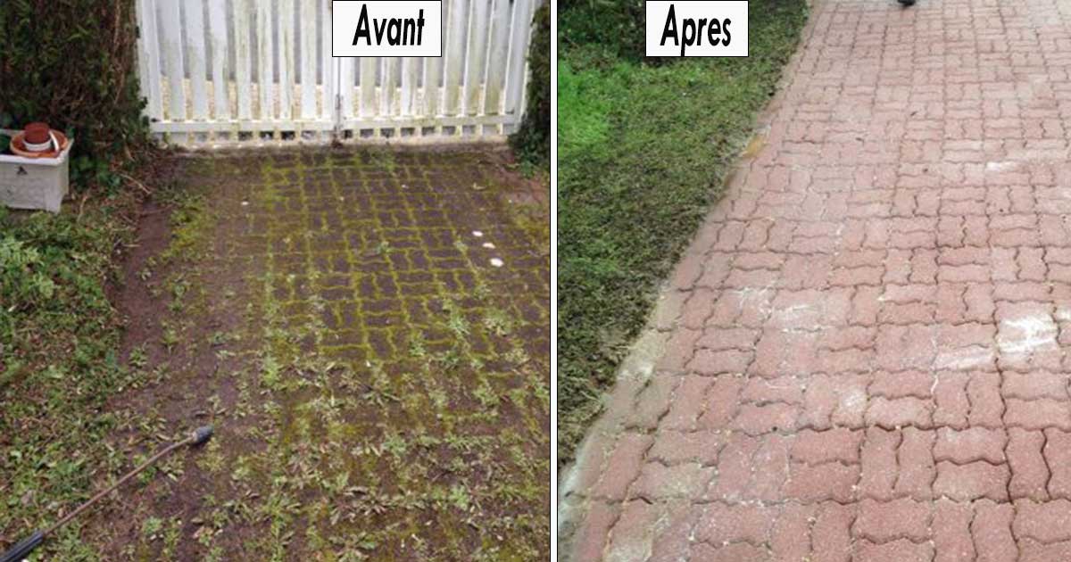 Astuces naturelles pour eliminer mousse sur terrasse et dallage
