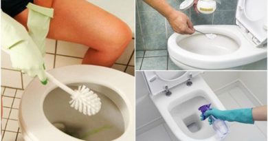 detartrer toilettes
